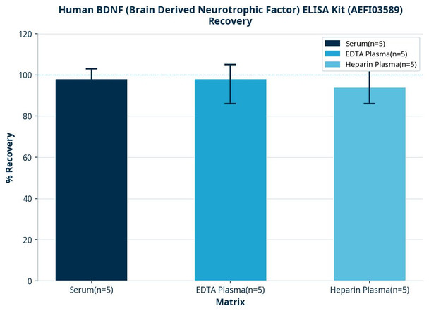 Human BDNF (Brain Derived Neurotrophic Factor) ELISA Kit (AEFI03589)