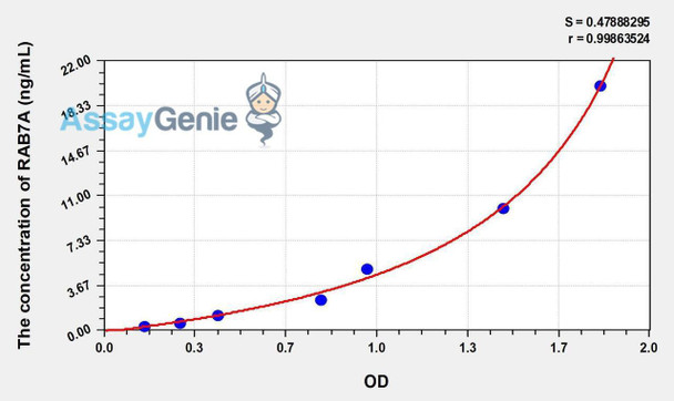 Human RAB7A (RAB7A, Member RAS Oncogene Family) ELISA Kit (AEKE01344)