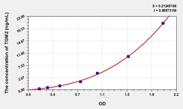 Rat TGM2 (Transglutaminase 2, Tissue) ELISA Kit (AEKE01654)