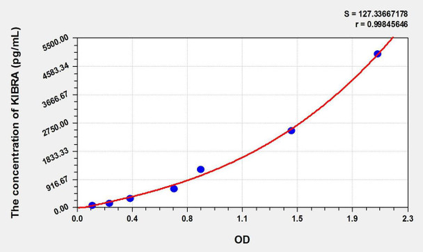 Mouse KIBRA (Kidney And Brain Protein) ELISA Kit (AEKE02543)
