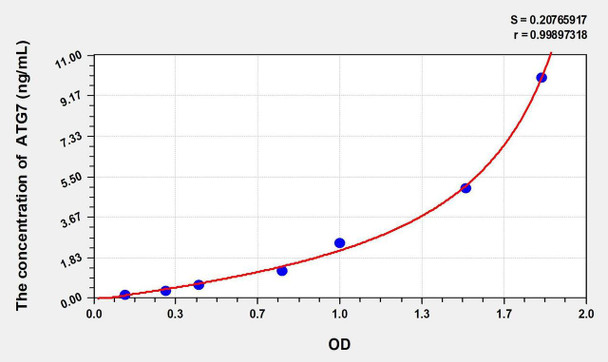 Rat ATG7 (Autophagy Related Protein 7) ELISA Kit (AEKE02806)