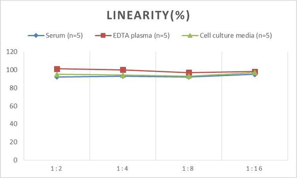 Human TSP-2 (Thrombospondin-2) ELISA Kit (AEES00817)