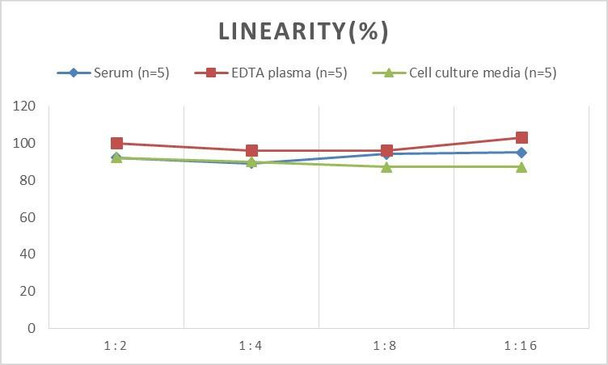 PicoGenie Rat IL-12 (Interleukin 12) ELISA Kit (AEES02616)