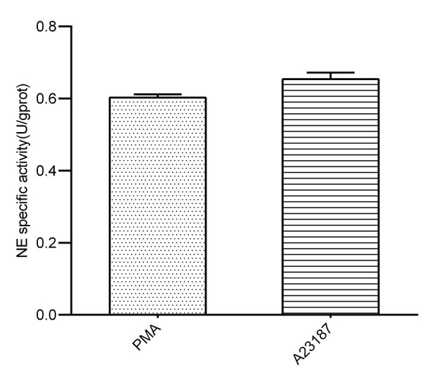 NETosis Colorimetric Assay Kit (MAES0482)