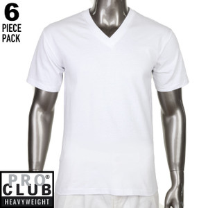 Men's Heavyweight V-Neck Tee (6 pcs)