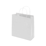A medium white kraft paper bag with twisted paper handles, featuring a simple design and no visible branding.