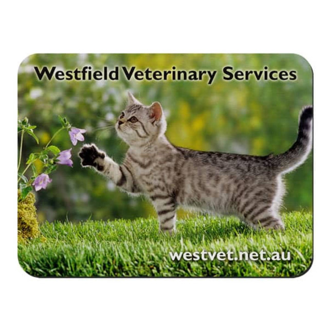 A fabric mouse mat featuring a playful grey tabby cat reaching for flowers, with a green grass background.