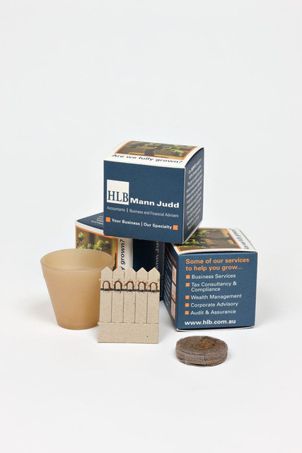 A biodegradable plant pot in brown, some seed sticks in a row, and packaging with a logo.