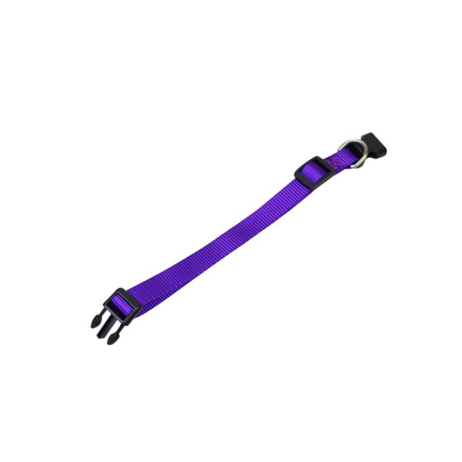 A purple dog collar with a plastic buckle and metal attachment ring. It features durable nylon material.