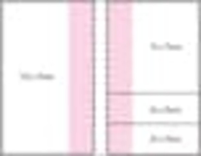 A notepad with a laminated cover featuring a pink design and four colour sections. The product includes branding.