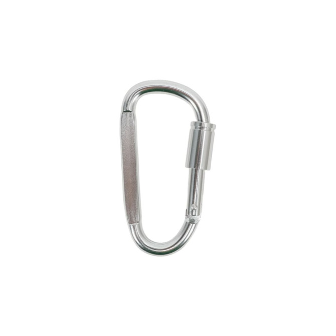 A silver D-shaped camping carabiner with a screw lock mechanism and a smooth finish.
