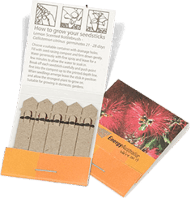 A pack of five seed sticks in beige, featuring a branding logo and illustrated growing instructions.