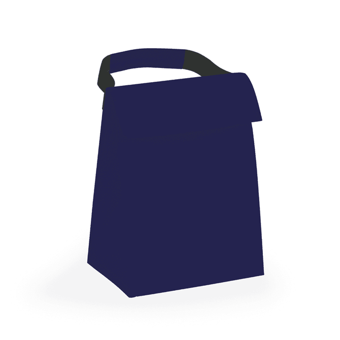 A navy cooler bag with a grip handle, featuring a simple design and a fold-over flap closure.