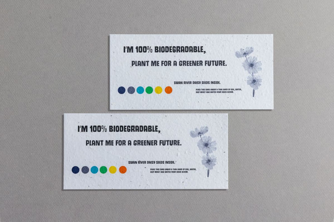 Seed paper cards in natural tones with floral illustrations, featuring a logo and vibrant colour dots.