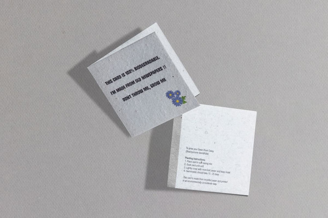 A small seed paper greeting card in grey with a floral design and text about planting. It has a logo on one side.