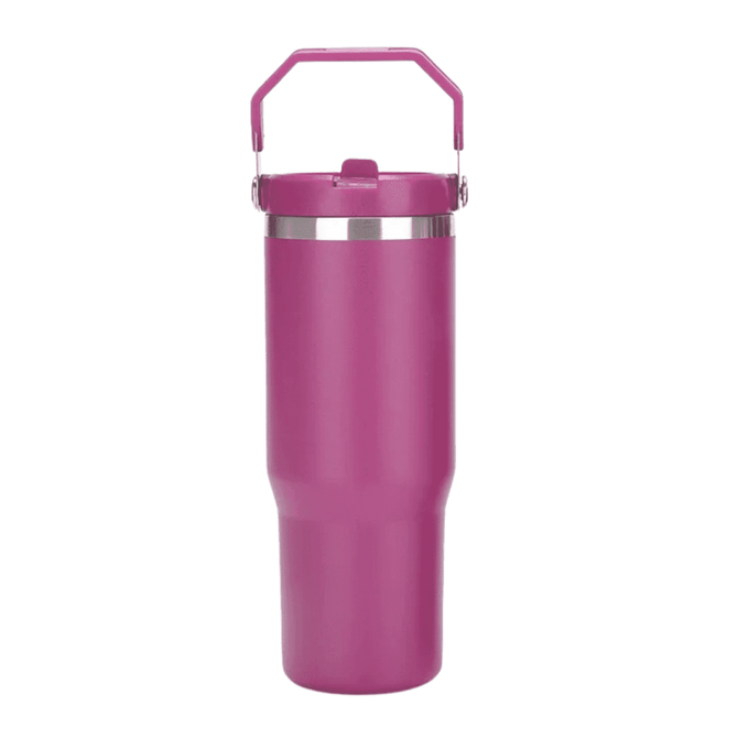 A drink bottle in a vibrant pink colour with a silver band and a handle for easy carrying. It features a logo.