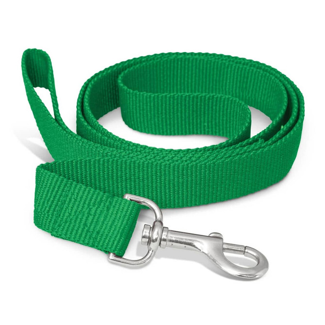 A green dog leash with a silver metal clip for attachment. The leash features a durable fabric construction.