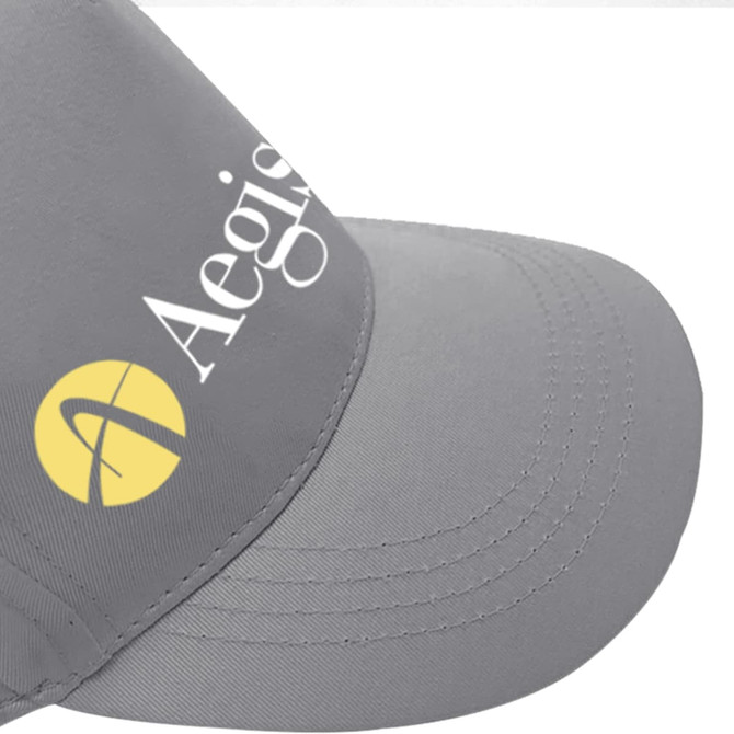 A grey cap featuring a curved brim and an embroidered logo on the side.
