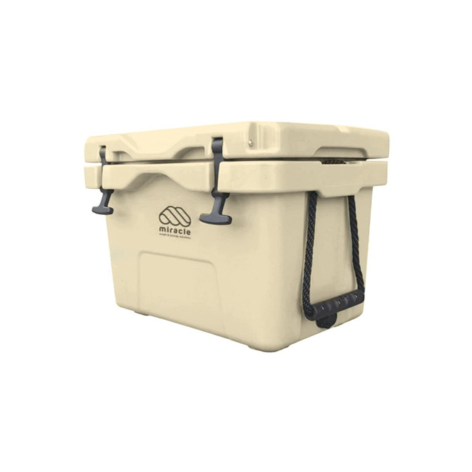 A cream-coloured 25L cooler box with a lid, carry handles, and a logo on the side.