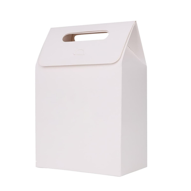A white die cut handle bag with a triangular top and a handle, featuring a plain design.