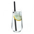 A glass of water with ice and lemon, featuring a black reusable silicone straw.