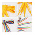 Yellow and rainbow custom shoe laces displayed in a flat lay arrangement, featuring a logo on the yellow laces.