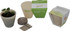 A biodegradable pot with soil and a growing seedling, accompanied by a seed disc and a branded box, all in light colours.