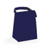 A navy cooler bag with a grip handle, featuring a simple design and a fold-over flap closure.