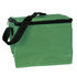 A green cooler bag with a zippered top and an adjustable strap, featuring a simple design and a logo.