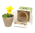 A beige pot containing a yellow flower, with soil and seeds included, packaged in a decorative box with branding.