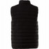 A black insulated vest featuring a quilted design and a high collar, with a logo on the back.