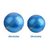 Two blue PVC yoga balls of different sizes, measuring 65 cm and 55 cm in diameter, placed side by side.