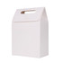 A white die cut handle bag with a triangular top and a handle, featuring a plain design.