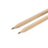 Two grey-lead pencils with wooden shafts, featuring sharpened tips. The product includes a logo.