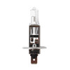 Anyray A1910A H1 24V 70W Automotive Light Bulb 70 Watt P14.5S