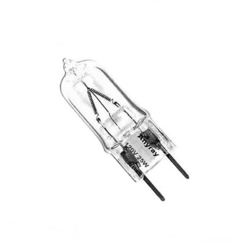 aglaia light bulb 120v 20w