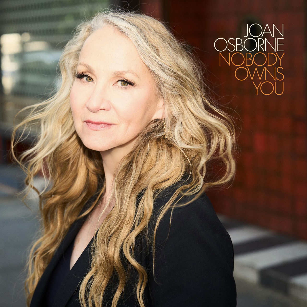 Joan Osborne Nobody Owns You LP