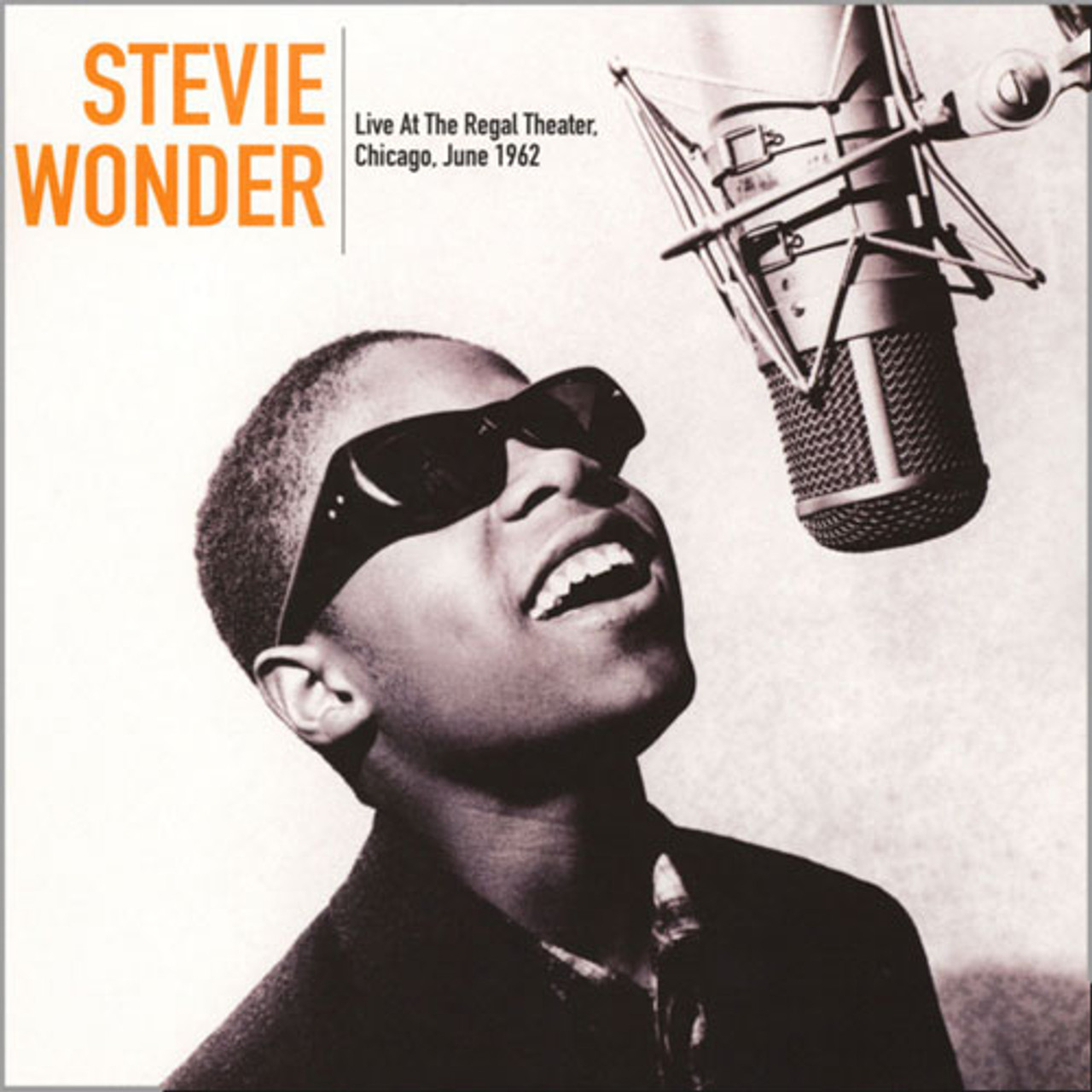 ミュージシャン vintage 1995 made in USA Stevie Wonder ミュージシャン vintage 1995 made in USA Stevie Wonder Buy