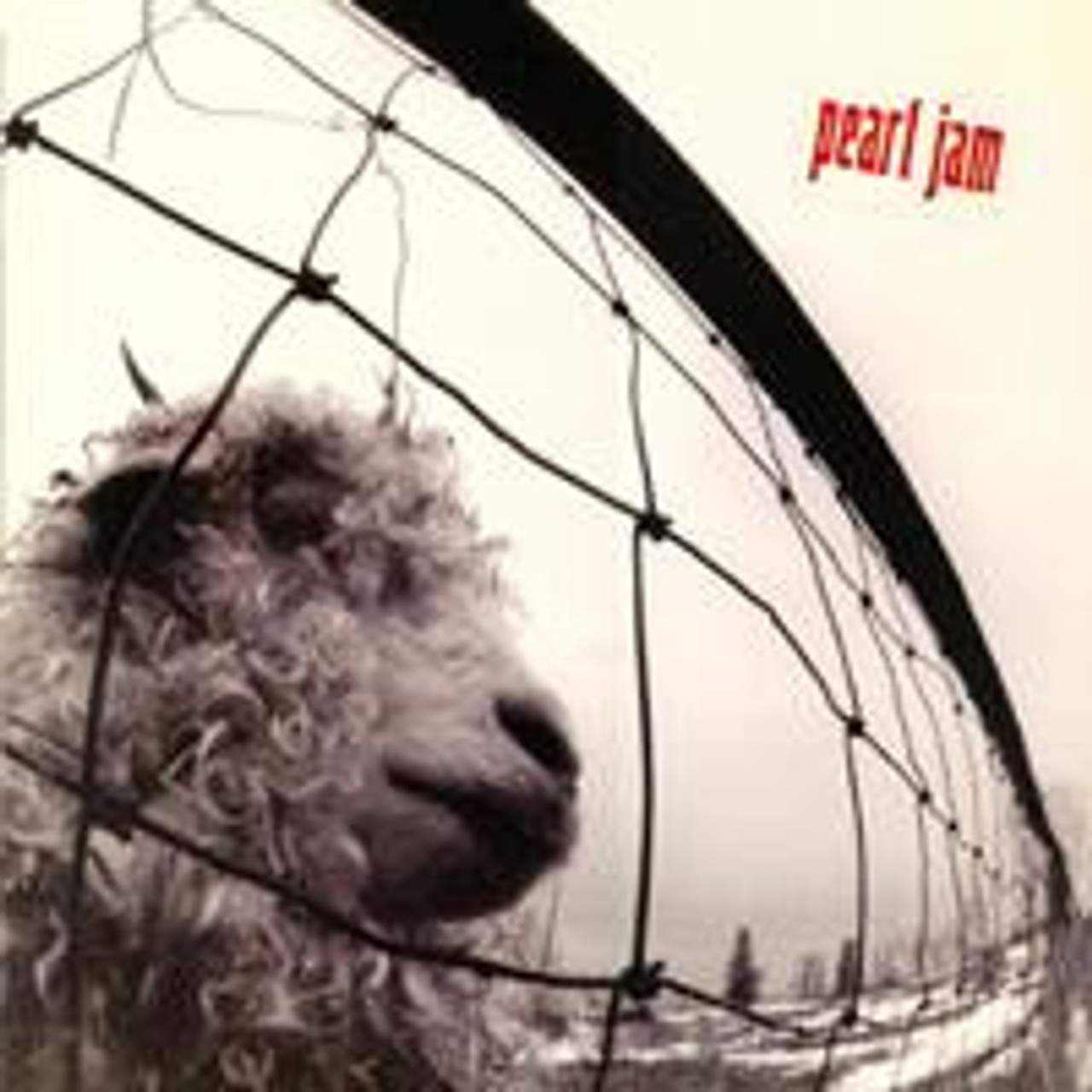 PEARL JAM　Vs　パール・ジャム　レコード　US盤 Pearl Jam – Vs. – CD (Expended Edition, Digisleeve, Orange