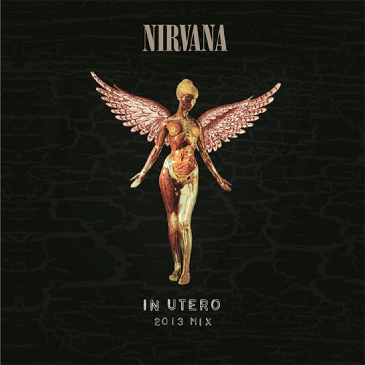 NIRVANA ニルヴァーナIN UTERO アナログ限定盤 - 洋楽