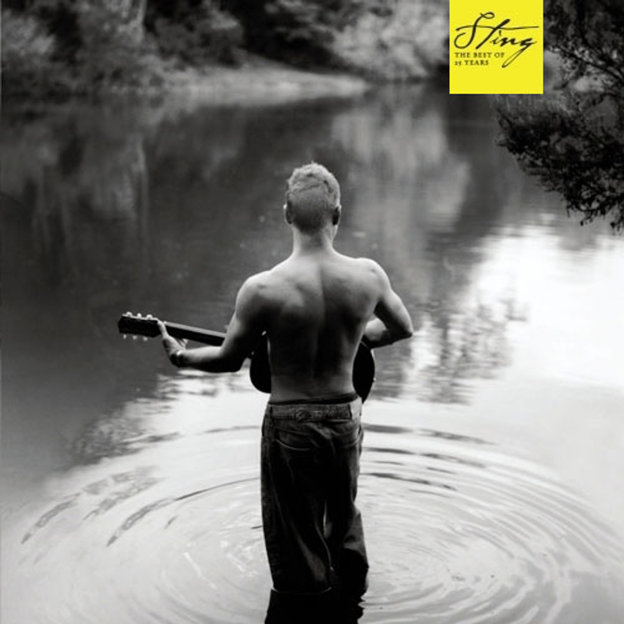 Sting The Best Of 25 Years 2LP