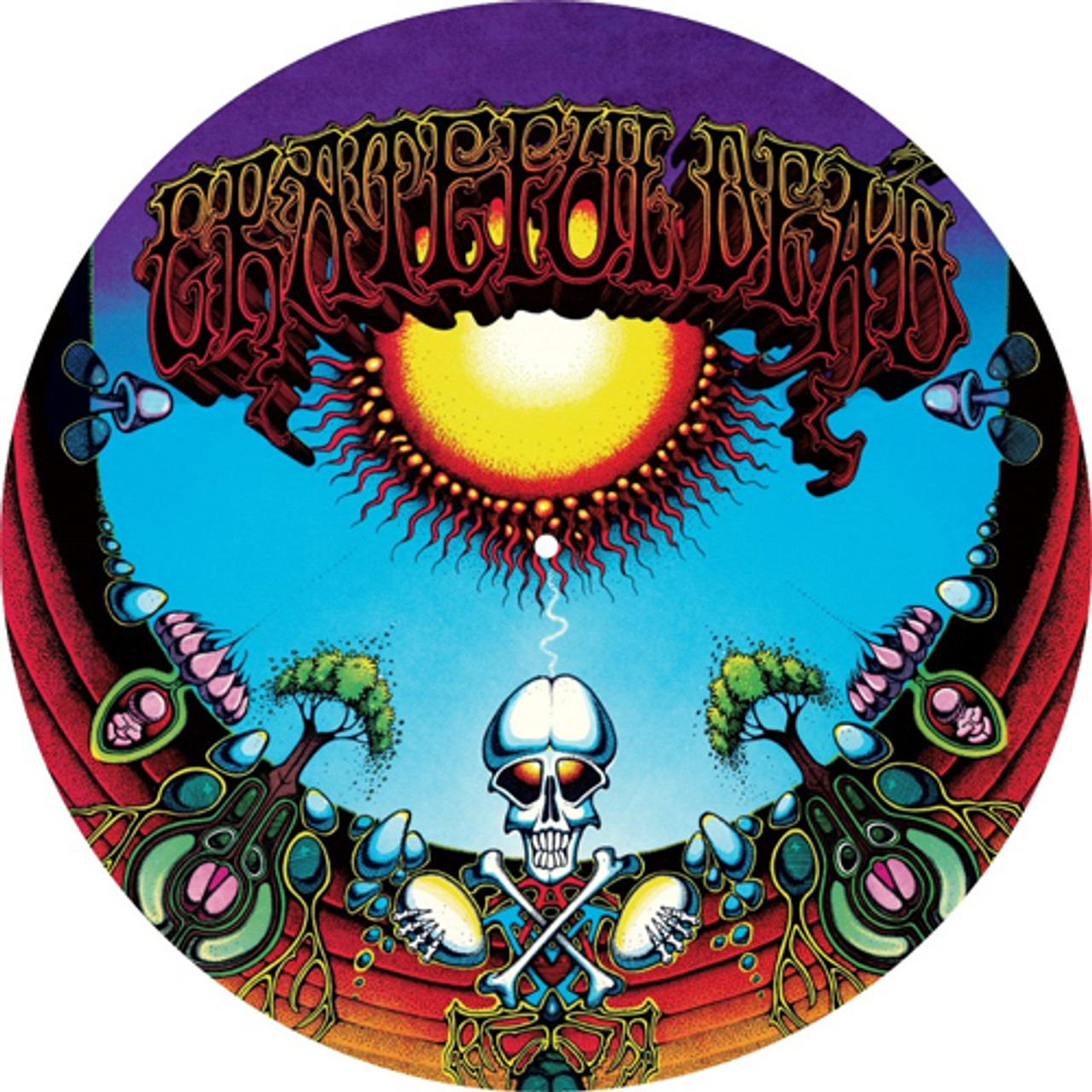 GRATEFUL DEAD「AOXOMOXOA」レコード 未開封 Grateful Dead: Aoxomoxoa 12