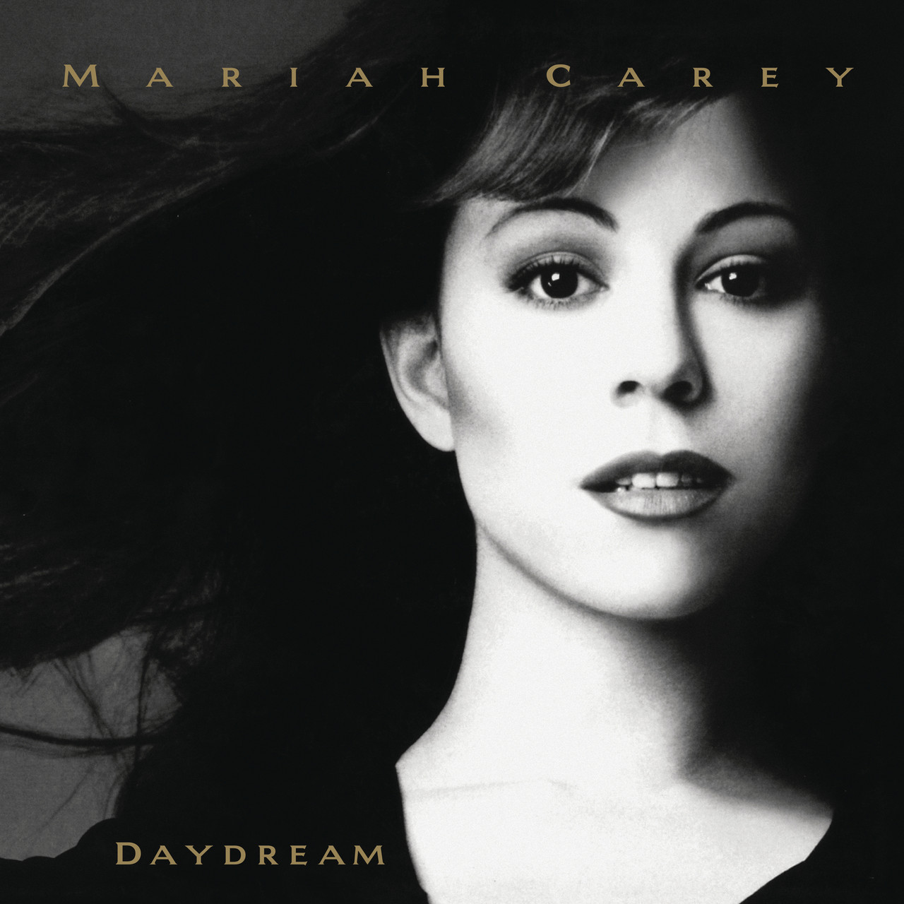 新品 Mariah Carey Daydream Fantasy LPレコード Mariah Carey Daydream LP