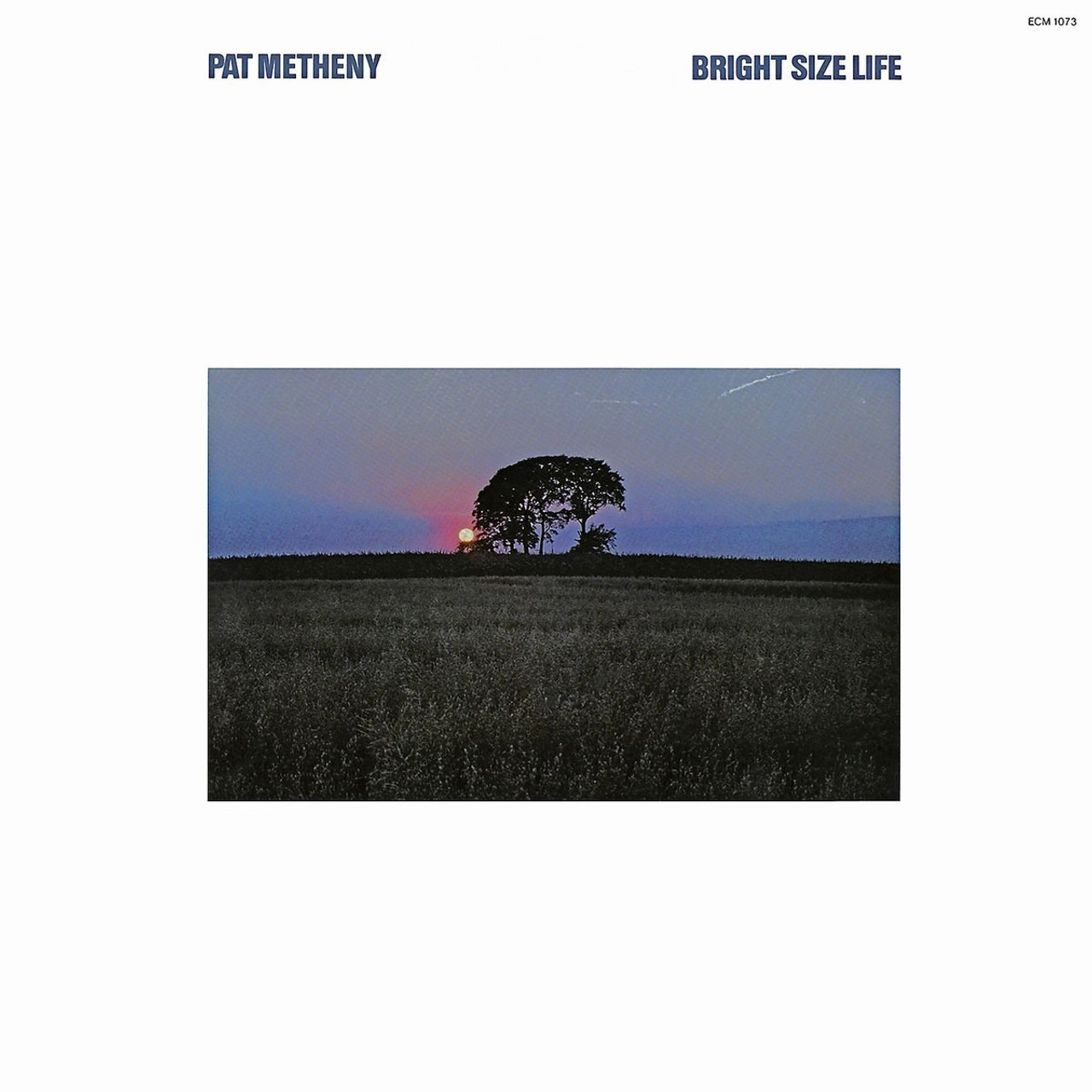 Pat Metheny Bright Size Life Japanese Import SHM-SACD