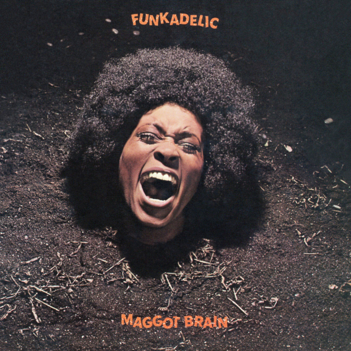【LP/EU盤】Funkadelic / Maggot Brain Funkadelic Maggot Brain LP (Color Vinyl)