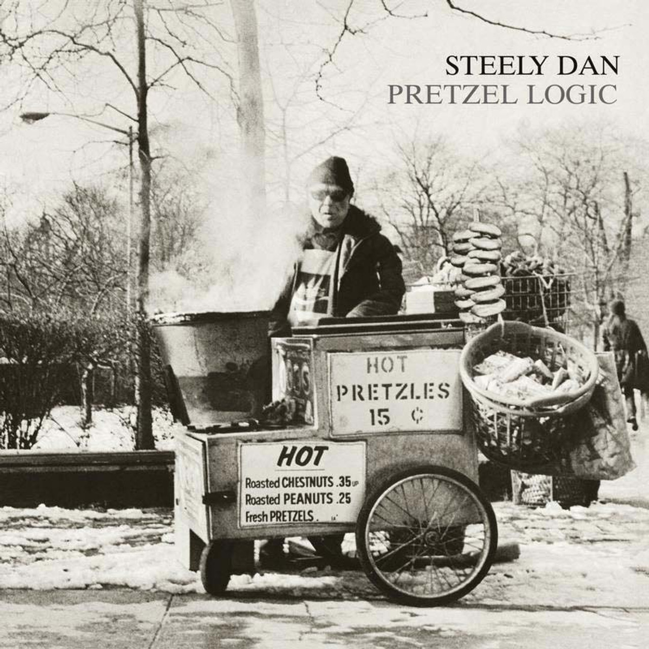 ずっと気になってた Logic Pretzel Dan Steely Hybrid SACD Stereo 洋楽