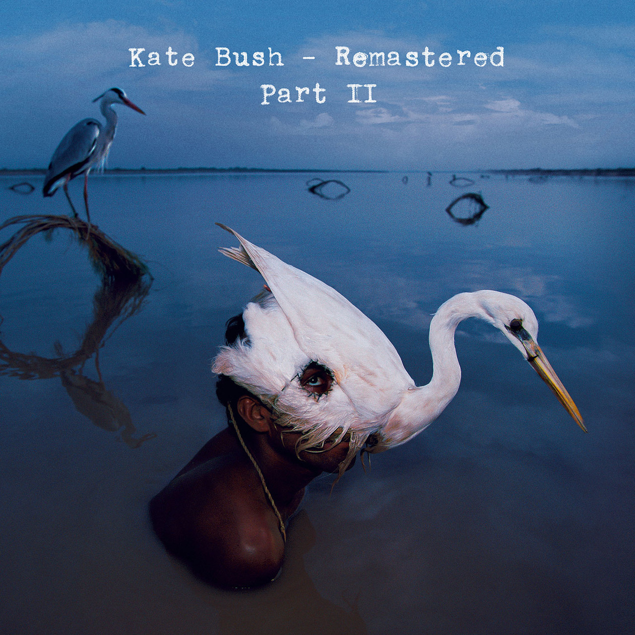 Kate Bush Remastered, Pt. II 11CD Box Set