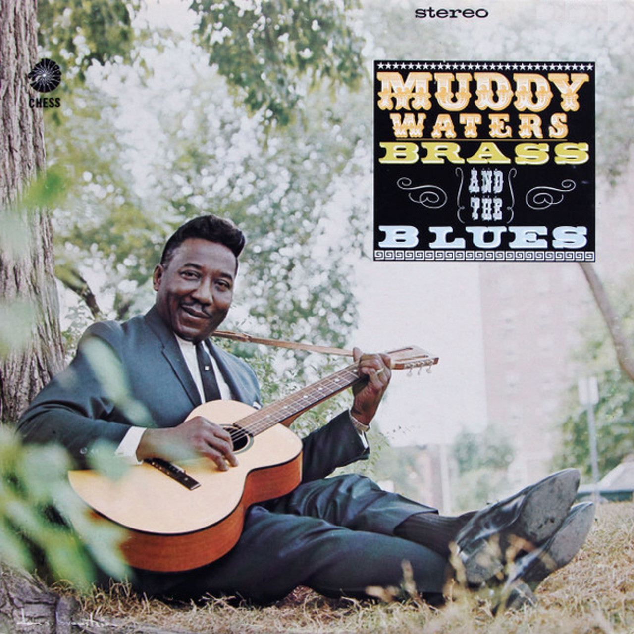 Muddy Waters Muddy, Brass & the Blues LP