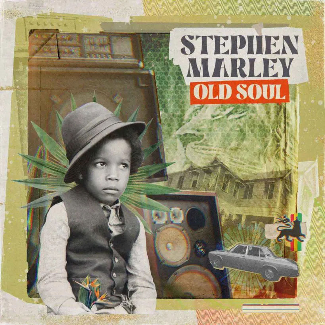 Stephen Marley / Mind Control 【2LP】-