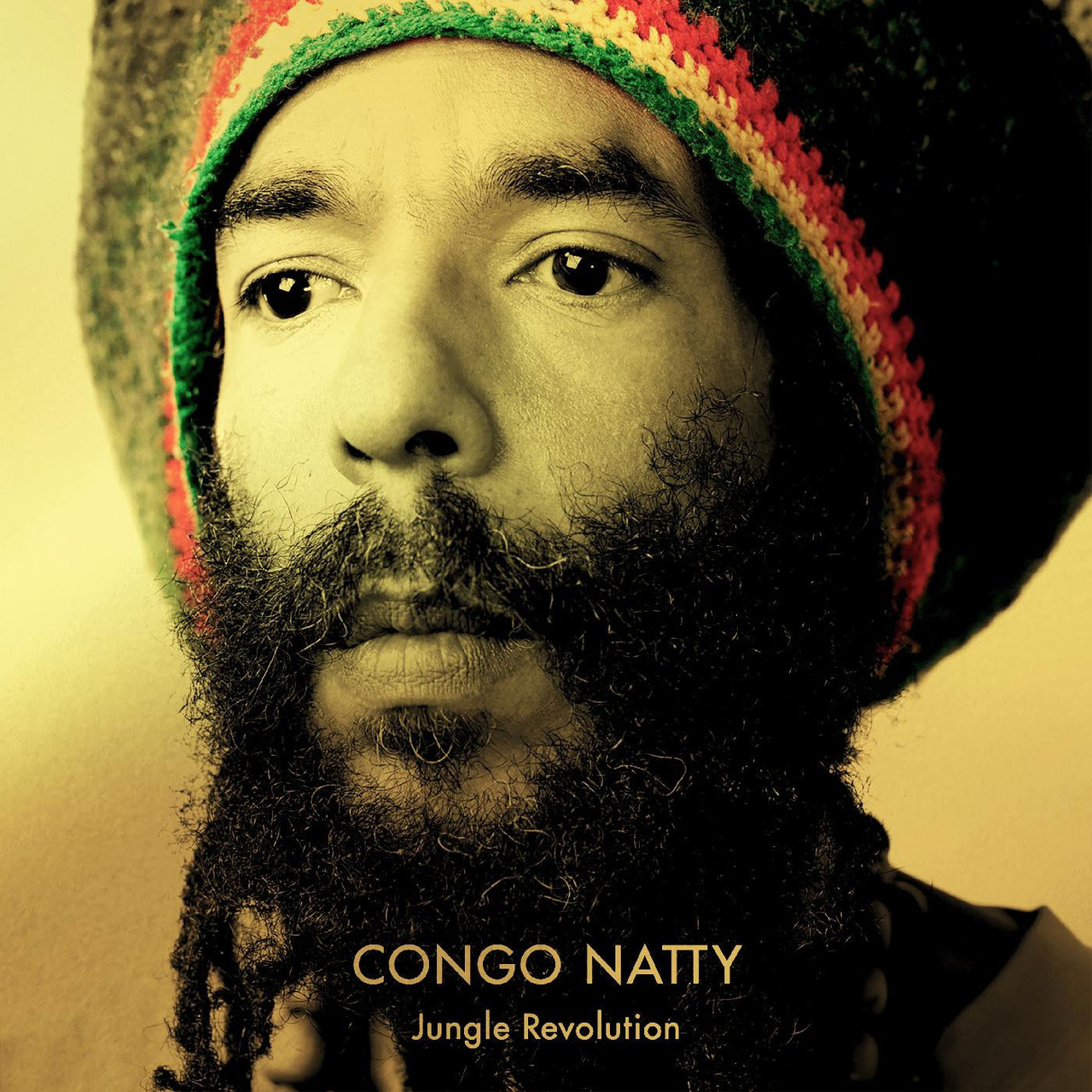 Congo Natty Jungle Revolution レコード Congo Natty Jungle Revolution 2LP (Yellow & Green Vinyl)